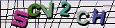 Chuck Norris has counted to infinity. Twice.